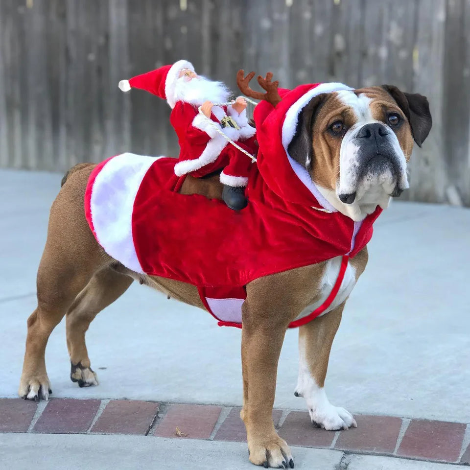Adorable Santa Claus Ski Outfit for Pets - Warm and Frost Proof Christmas Clothing!
