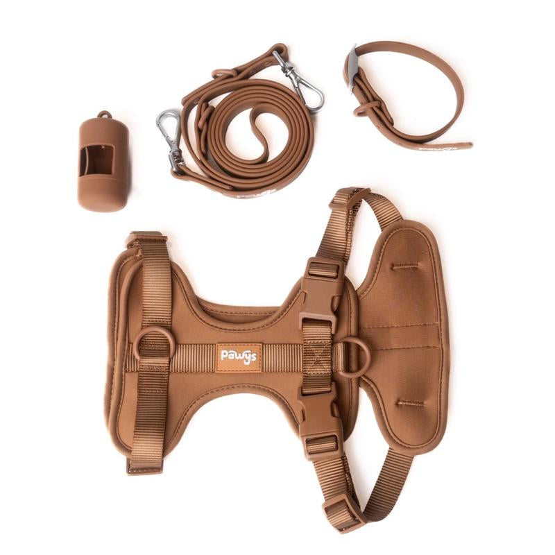 Stylish Dog Walking Experience with Space Cotton Harness