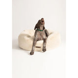 Premium Plush Donut Pet Bed