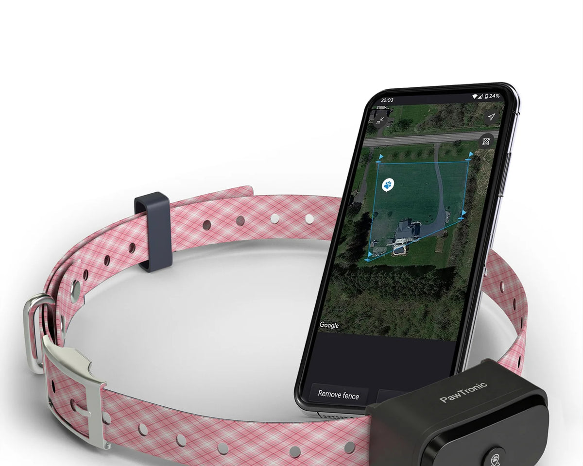 Pawtronic Pro Series: Ultimate Wireless GPS Dog Fence for Unmatched Freedom and Safety