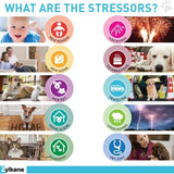 Zylkene Calming Support for Medium Dogs - 14 Capsules, 225 mg - Promotes Relaxation and Reduces Stress for Dogs 33-65 lbs