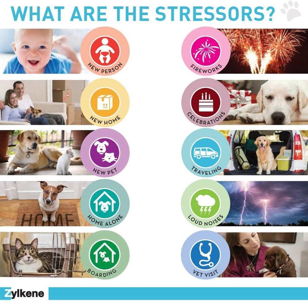 Zylkene Calming Support for Medium Dogs - 14 Capsules, 225 mg - Promotes Relaxation and Reduces Stress for Dogs 33-65 lbs