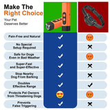 Dog Training Tool Dog Bark Deterrent Device with LED Flashlight