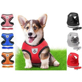 Breathable Mesh Padded Dog Harness - Comfortable and Available in Multiple Colors and Sizes (S, M, L)