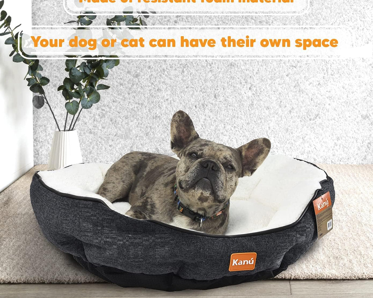 Washable Ultra Soft Dog and Cat Bed - Breathable, Non-Slip Design for Indoor and Outdoor Use