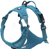 Truelove Adjustable No-Pull Dog Harness with Reflective Vest, Blue, Size XS - Enhanced Comfort and Visibility (Model TLH5651)