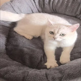 Very Soft Warm Dog Bed Pets Basket Cat House Sofa for Medium Large Dog Sofa Bed Cushion Dog Bed House Pet Supplies Accessories