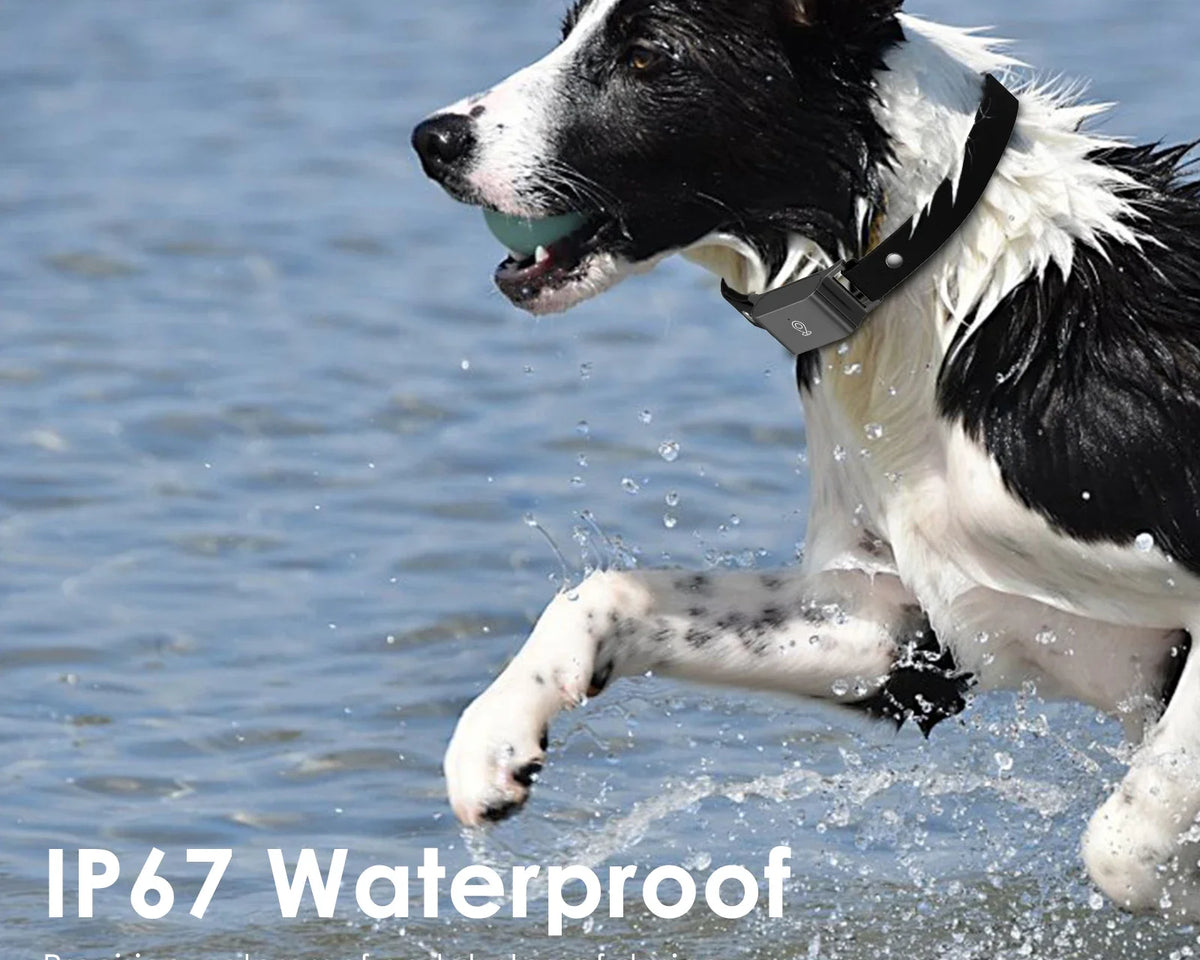 Ultimate 4G Pet GPS Tracker - Stylish Smart Collar for Dogs & Cats, Real-Time Location, Long Battery Life, Anti-Loss Solution for iOS & Android