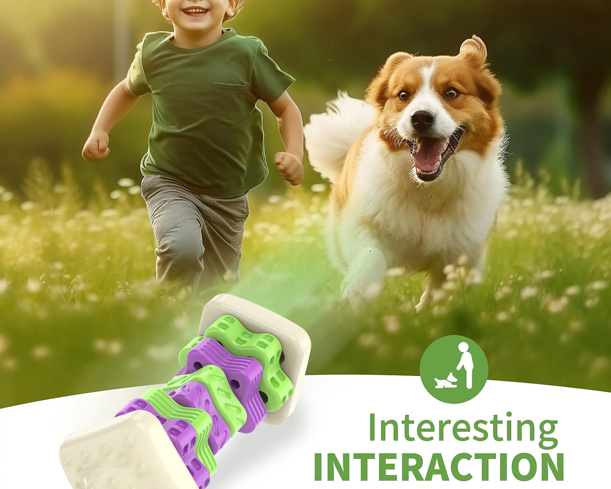 Interactive Dog Chew Toy – Vibrantly Colored Enrichment Toy for Aggressive Chewers