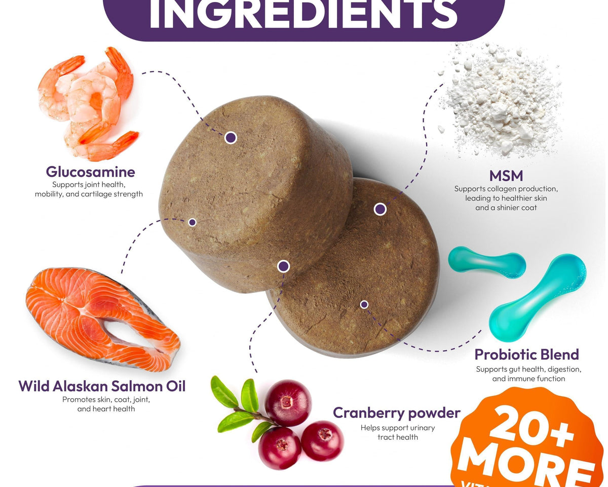 Dog Multivitamin Chewable Vitamins Supplements