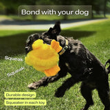 Ultimate Petspy Squeaky Dog Toy Pack - 3 Fun Chew Toys for Happy Pups!