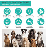 Interactive Dog Puzzle Toy