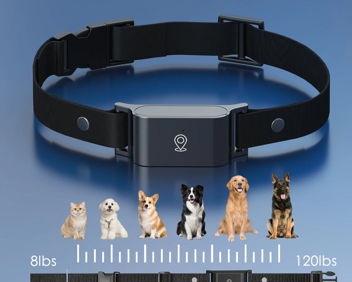 Ultimate 4G Pet GPS Tracker - Stylish Smart Collar for Dogs & Cats, Real-Time Location, Long Battery Life, Anti-Loss Solution for iOS & Android