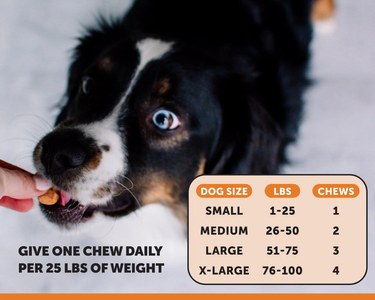 Bacon-Flavored Hip & Joint Health Chews for Happy Pets