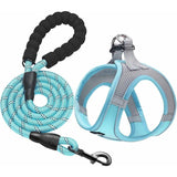 Adjustable No-Pull Dog Harness and Leash Set with Reflective Design and Padded Vest for Extra-Small to Medium Dogs