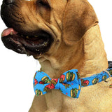 2 Packs Adjustable Dog Collar with Bells and Charm Safety Buckle