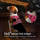 No Pull Dog Harness & Leash Set (2 Counts/Set), Escape Proof Reflective Adjustable Pet Vest Tools, Soft Padded Pet Collars Harness with Handle for Small to Large Dogs, Dog Accessories Tools, Harness Straps Studs