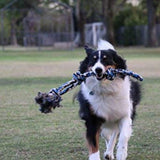 Durable Blue Twisted Rope Dog Toy with 3 Knots - Perfect for Interactive Play!