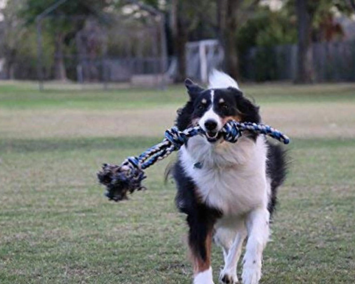 Durable Blue Twisted Rope Dog Toy with 3 Knots - Perfect for Interactive Play!