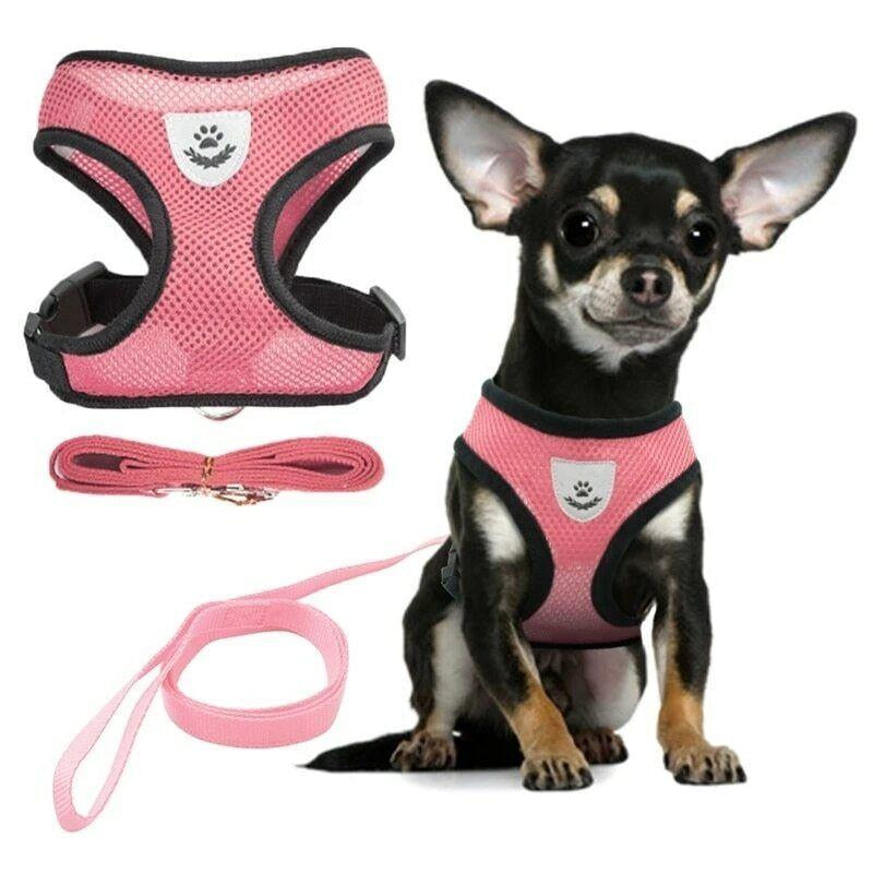 Breathable Mesh Padded Dog Harness - Comfortable and Available in Multiple Colors and Sizes (S, M, L)