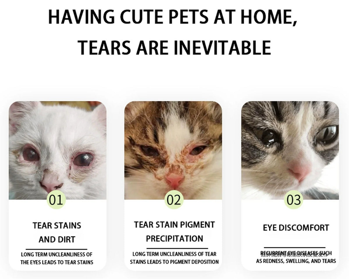 Pet Tear Stain Remover Brush - Essential Grooming Tool for Dogs and Cats, Perfect for Eye Area Hygiene!