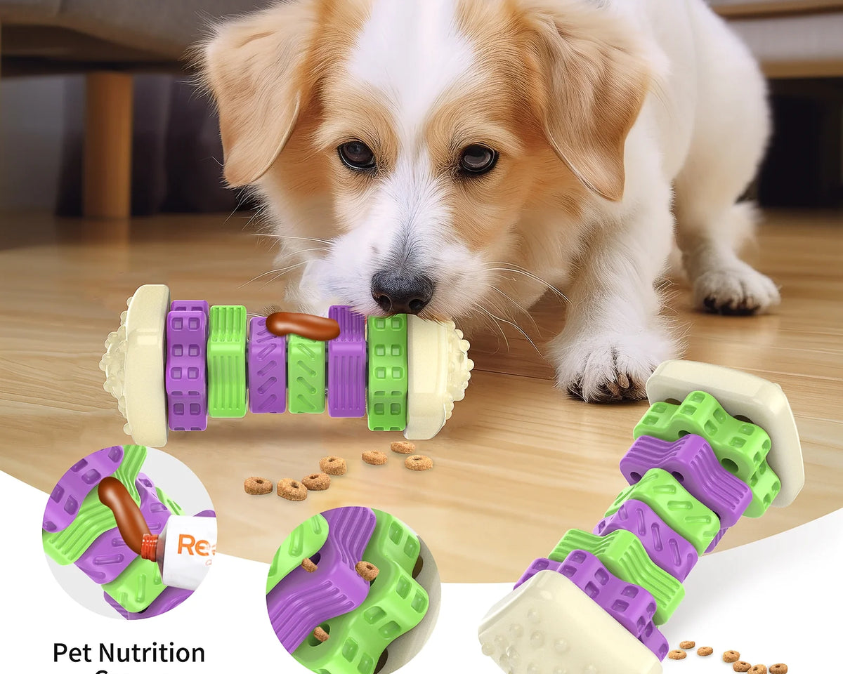 Interactive Dog Chew Toy – Vibrantly Colored Enrichment Toy for Aggressive Chewers