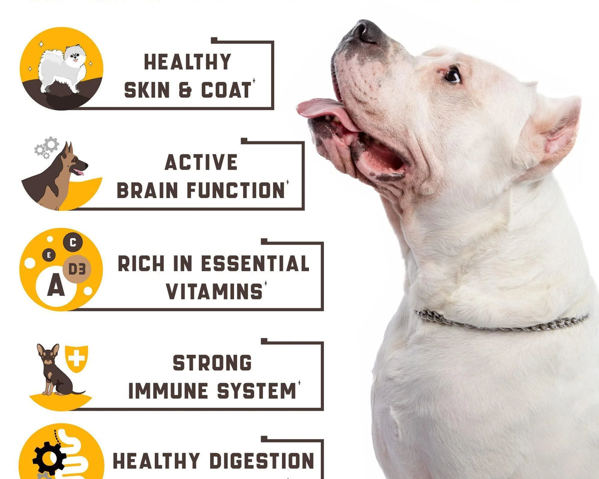 Ultimate 15-in-1 Dog Multivitamin for Immunity, Digestion, Joint & Heart Health