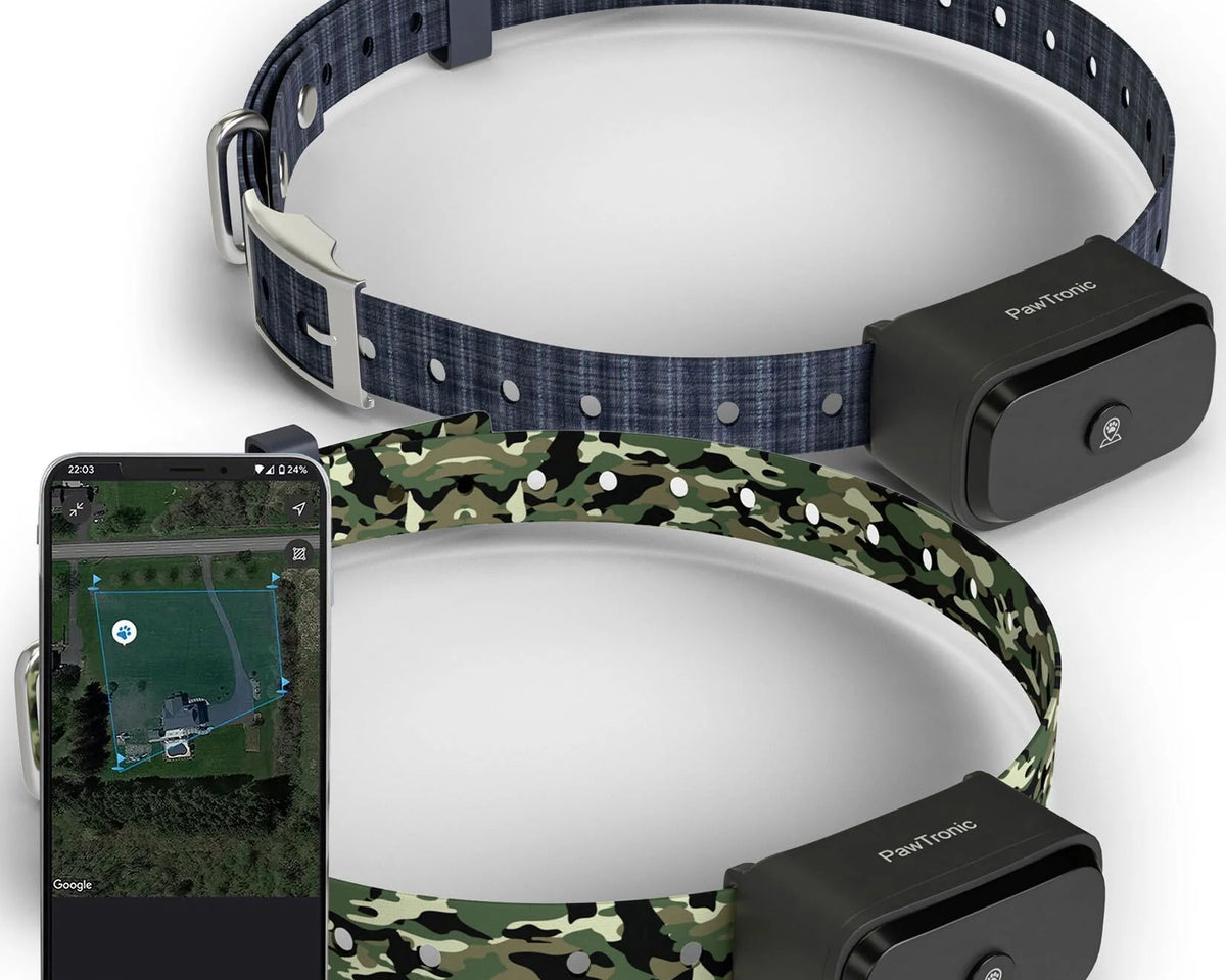 Pawtronic Pro Series: Ultimate Wireless GPS Dog Fence for Unmatched Freedom and Safety