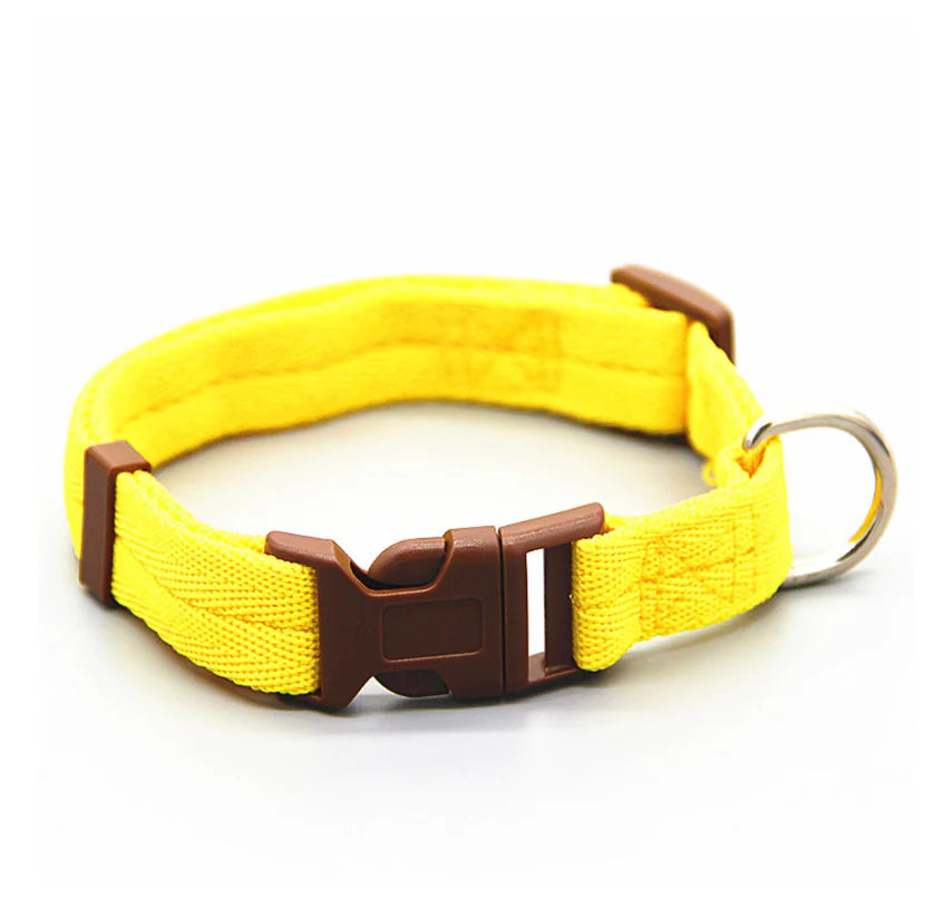 VivaNylon Adjustable Dog Collar - My Pet Collective