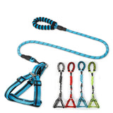 Dog Leash and Chest Harness for Pet Supplies - My Pet Collective Dog Leash and Chest Harness for Pet Supplies