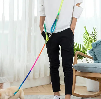 Amazon Best-Selling Reflective Nylon Dog Leash - My Pet Collective Amazon Best-Selling Reflective Nylon Dog Leash