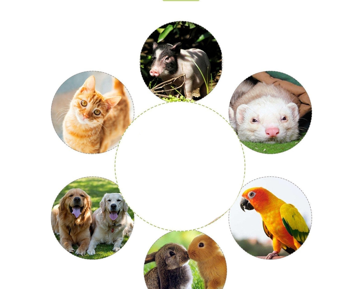 Dog Whistle with Clicker – 2-in-1 Trainer - My Pet Collective Dog Whistle with Clicker – 2-in-1 Trainer