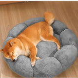 Calming Indoor Pet Beds - My Pet Collective Calming Indoor Pet Beds