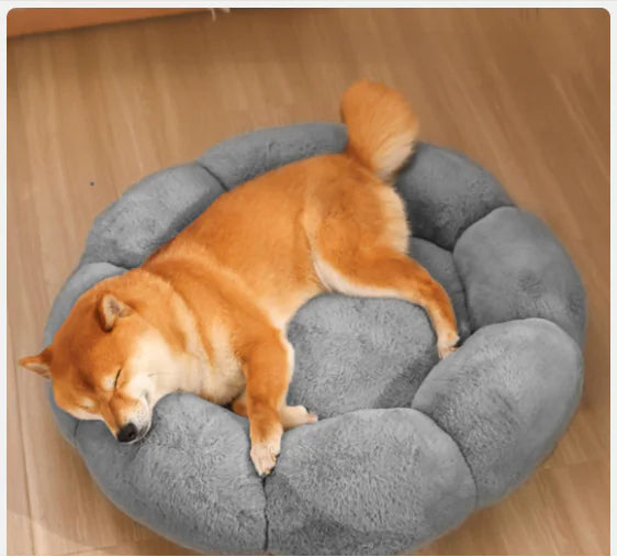 Calming Indoor Pet Beds - My Pet Collective Calming Indoor Pet Beds