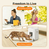 Smart Pet Feeder - My Pet Collective Smart Pet Feeder