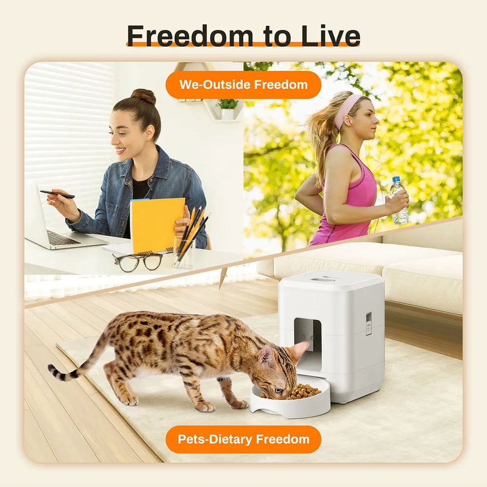 Smart Pet Feeder - My Pet Collective Smart Pet Feeder