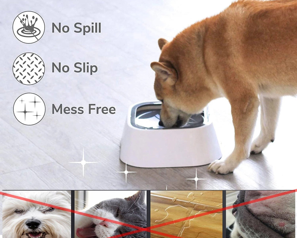 Spill-Proof Pet Travel Water Bowl - My Pet Collective Spill-Proof Pet Travel Water Bowl
