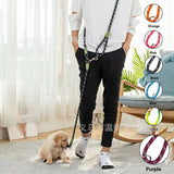 Amazon Best-Selling Reflective Nylon Dog Leash - My Pet Collective Amazon Best-Selling Reflective Nylon Dog Leash