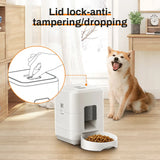 Smart Pet Feeder - My Pet Collective Smart Pet Feeder