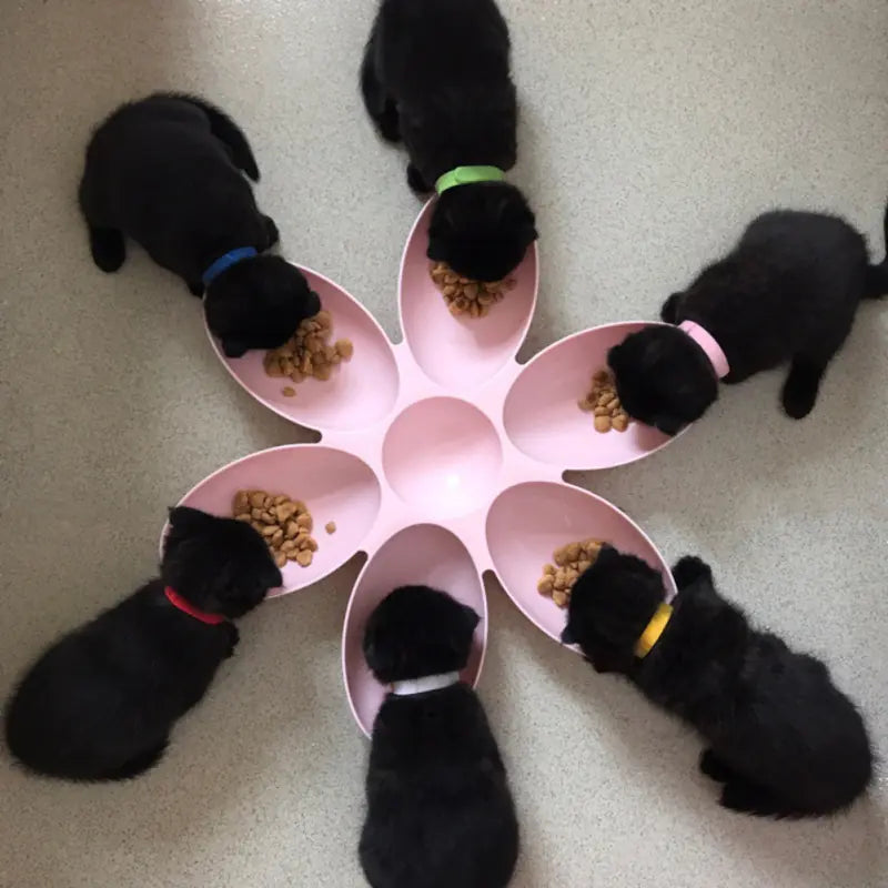 Pet Platter with Petal-Shaped Dog Bowls - My Pet Collective Pet Platter with Petal-Shaped Dog Bowls