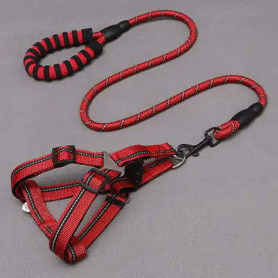 Dog Leash and Chest Harness for Pet Supplies - My Pet Collective Dog Leash and Chest Harness for Pet Supplies