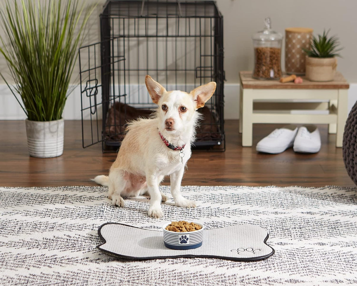 Paw & Patch Nautical Blue Small Ceramic Pet Bowl for Dogs and Cats - 4.25" x 2" with Non-Slip Base