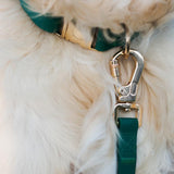 4-in-1 Convertible Hands-Free Cloud Dog Leash, 8.5 Feet Long, 3/4 Inch Wide