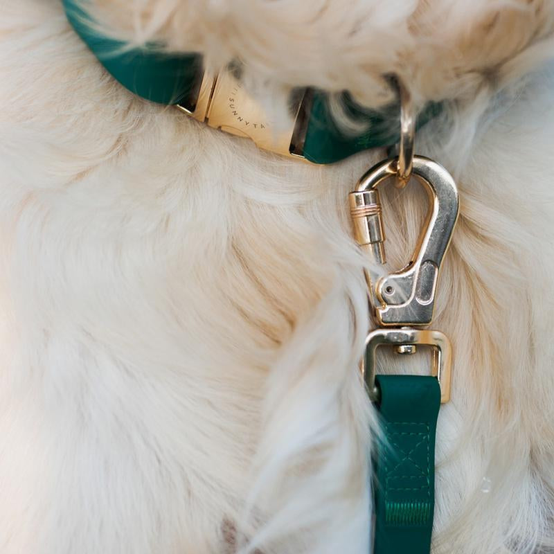 4-in-1 Convertible Hands-Free Cloud Dog Leash, 8.5 Feet Long, 3/4 Inch Wide