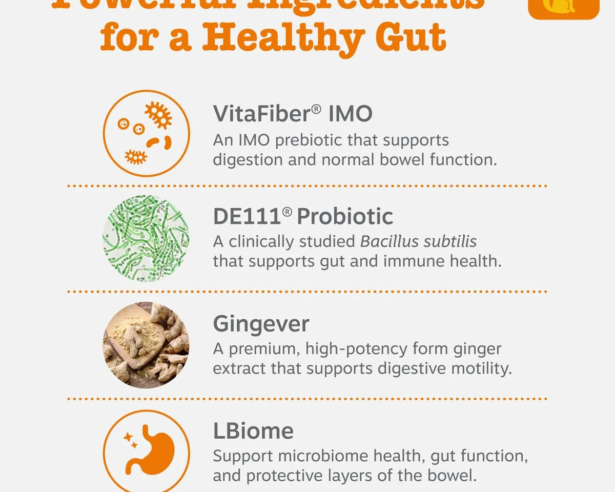 Vet-Strength Probiotic Bites for Dogs - 60 Count Gut Health Supplement for Optimal Digestion