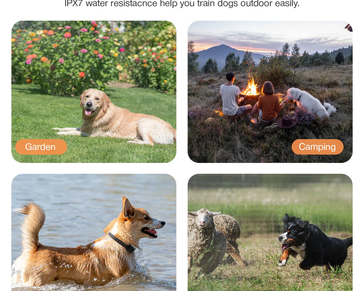 Ultimate GPS Wireless Electric Dog Fence - Easy Setup Outdoor Containment System with Waterproof Rechargeable Collar for Large Dogs