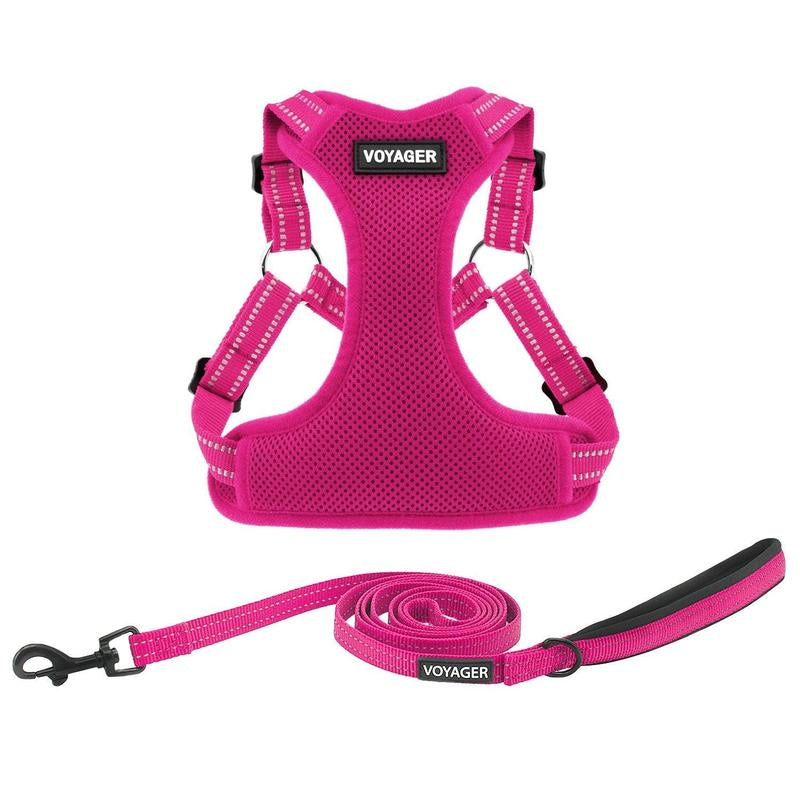 Step-In Flex Harness & Leash Set with Air Mesh
