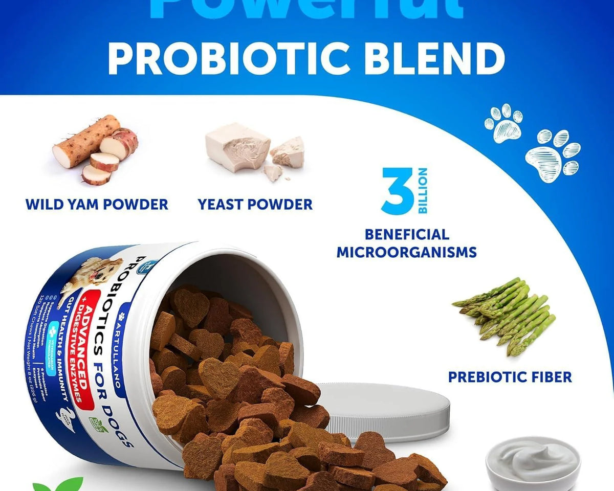 Ultimate Probiotics for Dogs - Boost Gut Health, Relieve Itchy Skin & Allergies, Strengthen Immunity & Combat Yeast
