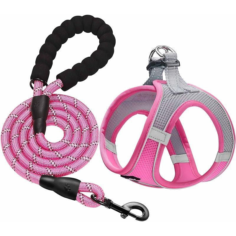 Adjustable No-Pull Dog Harness and Leash Set with Reflective Design and Padded Vest for Extra-Small to Medium Dogs