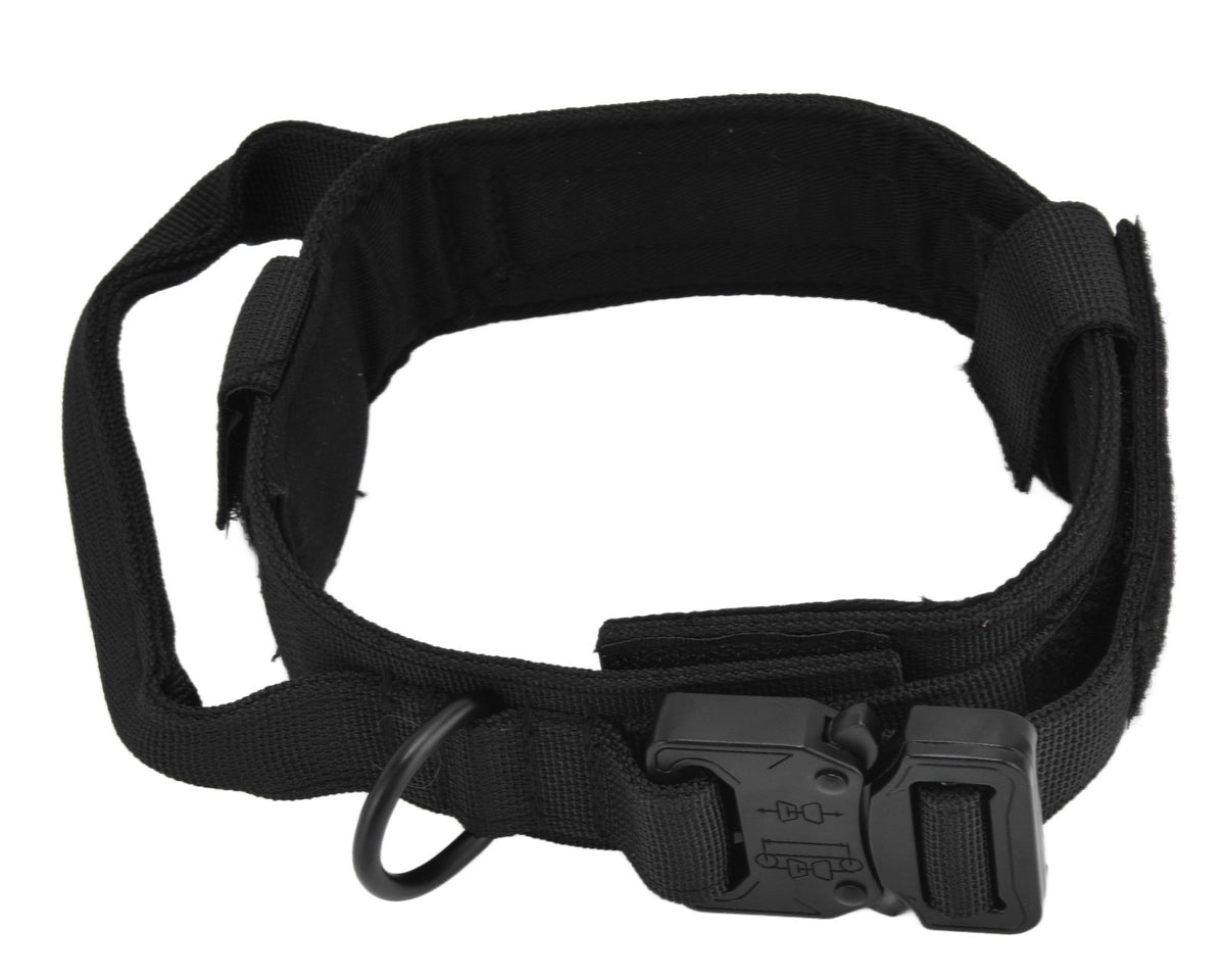 Traction Dog Collar with Buckle Nylon Iron Training Hunting Collar Pet Accessory for OutdoorBlack L